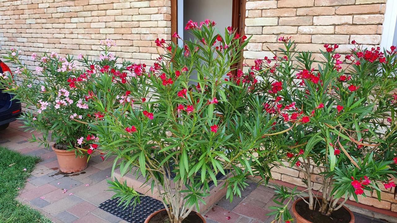 Wellapartman Zamárdi Exterior foto